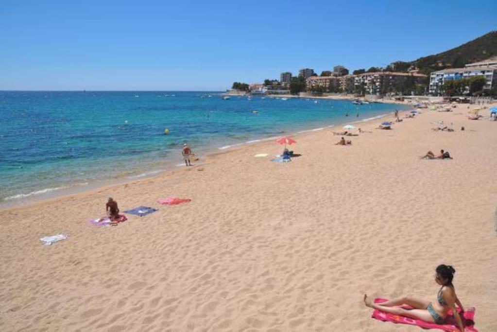 Bel F2 Pres De La Plage أجاكسيو المظهر الخارجي الصورة